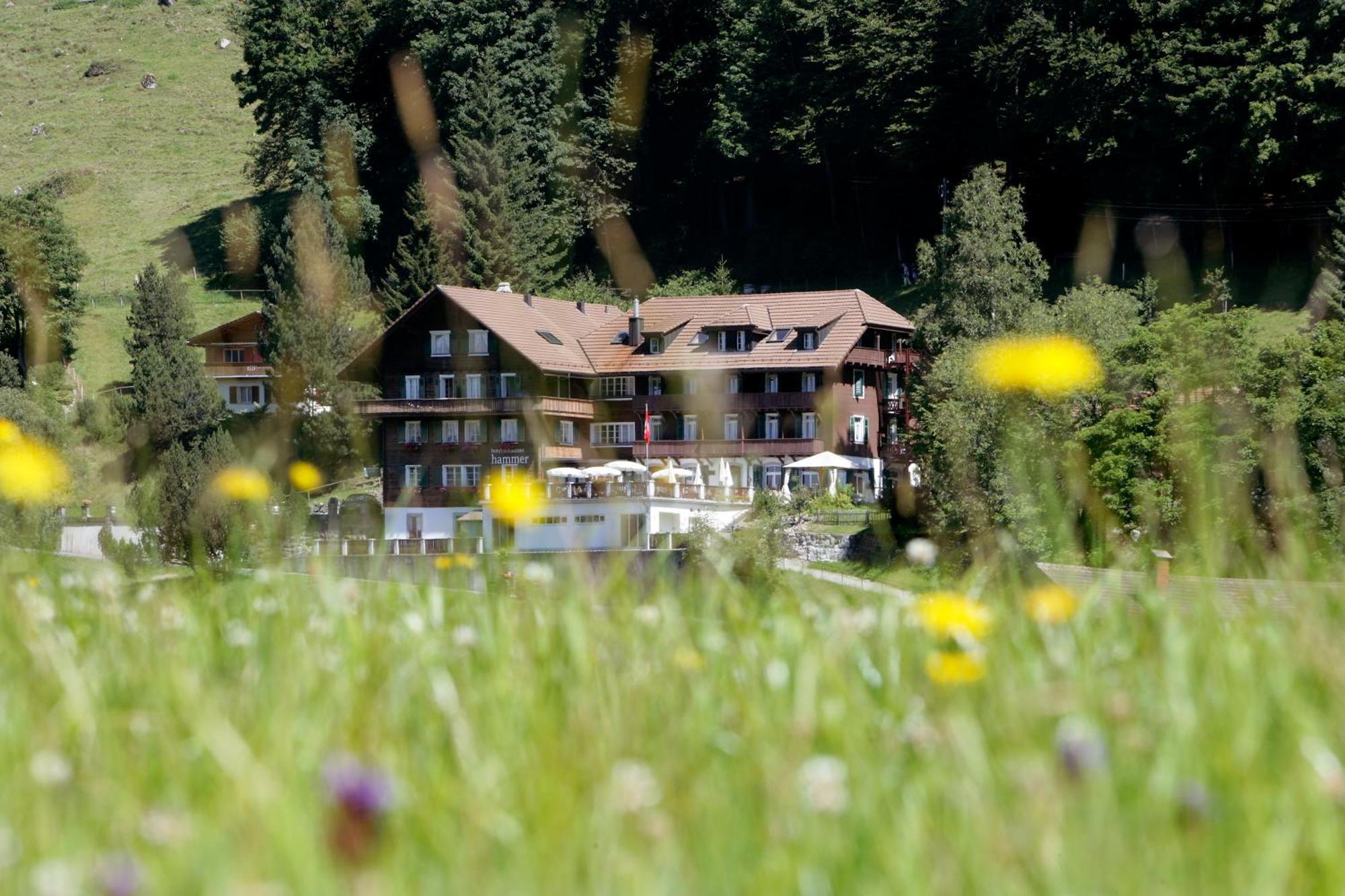 Hotel Restaurant Hammer Eigenthal Exterior photo